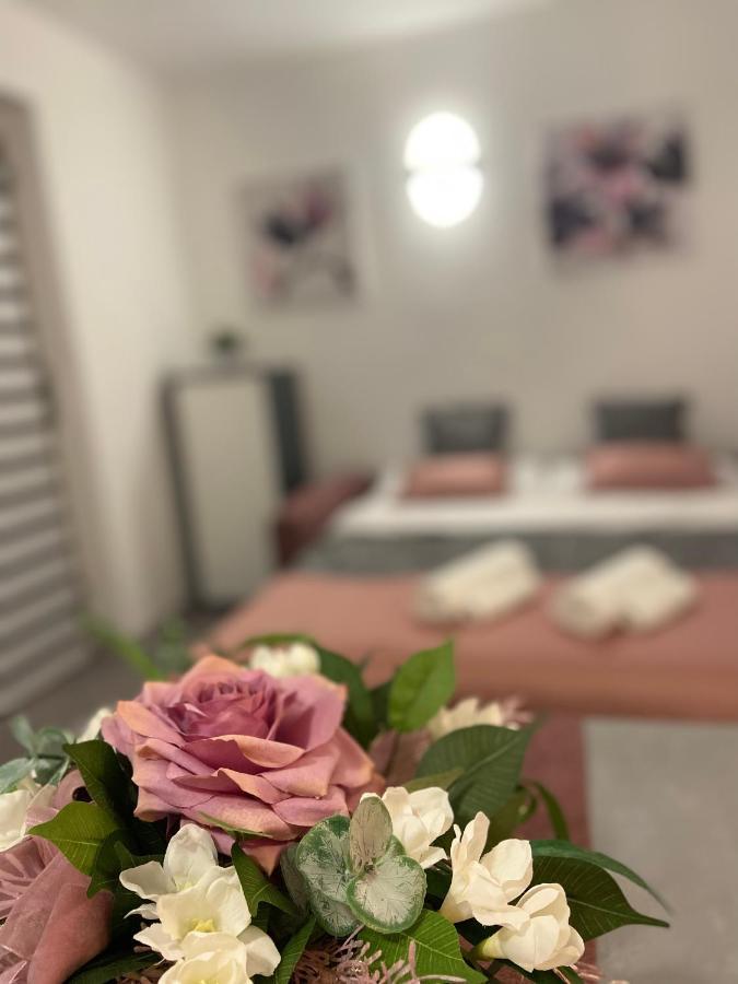 Apartman Stipancic Labin  Buitenkant foto
